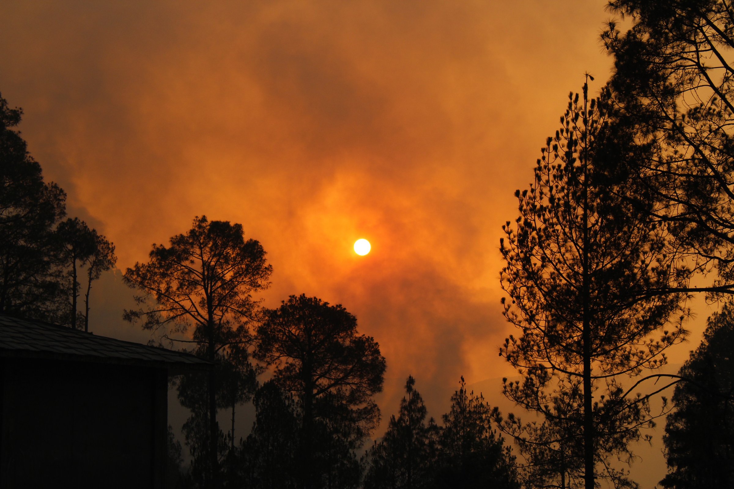 Europe’s 2026 wildfires show the cost of ignoring prevention
